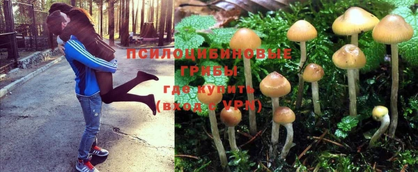 спайс Покачи