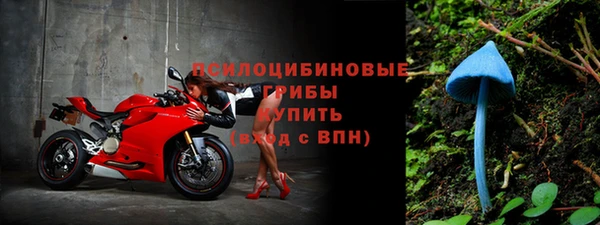 спайс Покачи