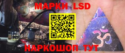 индика Гатчина