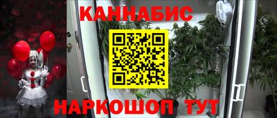 индика Гатчина