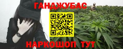 индика Гатчина