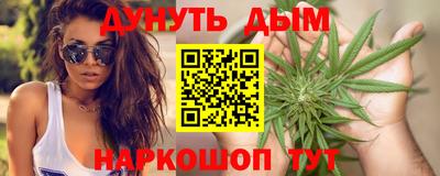 индика Гатчина
