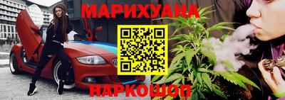 индика Гатчина