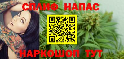 МДПВ Гай