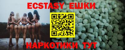 индика Гатчина