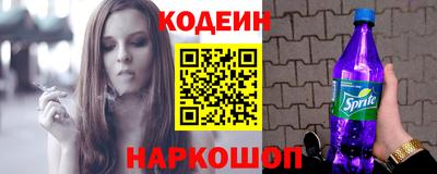 индика Гатчина