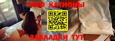 индика Гатчина