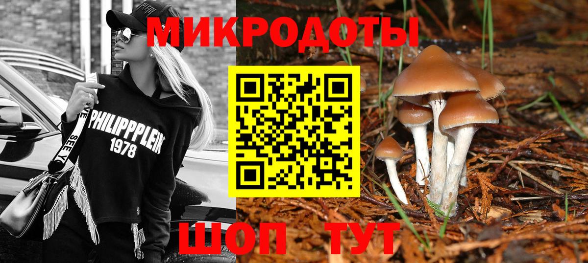 Губкинский  Галлюциногенные грибы прущие грибы  Вход с VPN 